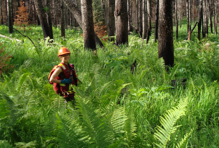 Home Woodlands North Woodlands North